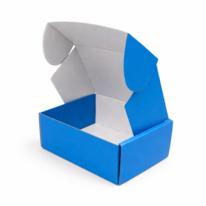 Arctic Sky Blue Mailer Corrugated Box